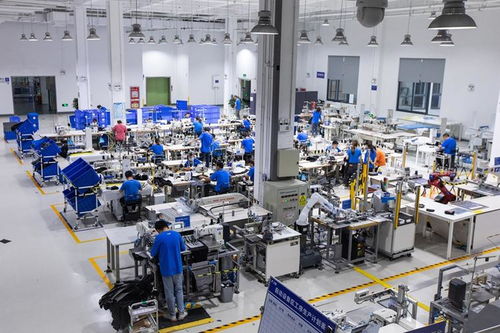 犀牛工廠 阿里三年磨一劍，用數(shù)據(jù)智能化解中小企業(yè)庫存之痛